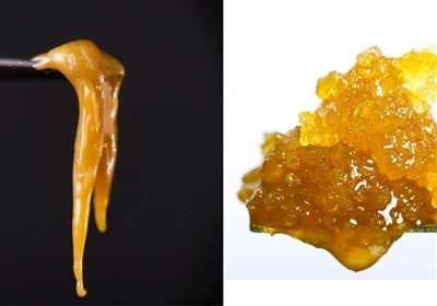 Live Resin so với Live Rosin: Sự khác biệt là gì?