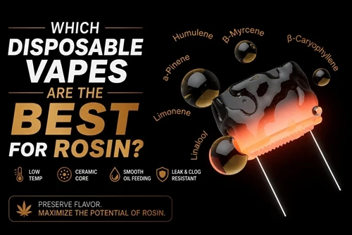 Vape dùng một lần nào là tốt nhất cho nhựa thông?